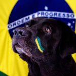 Brazil India friendly