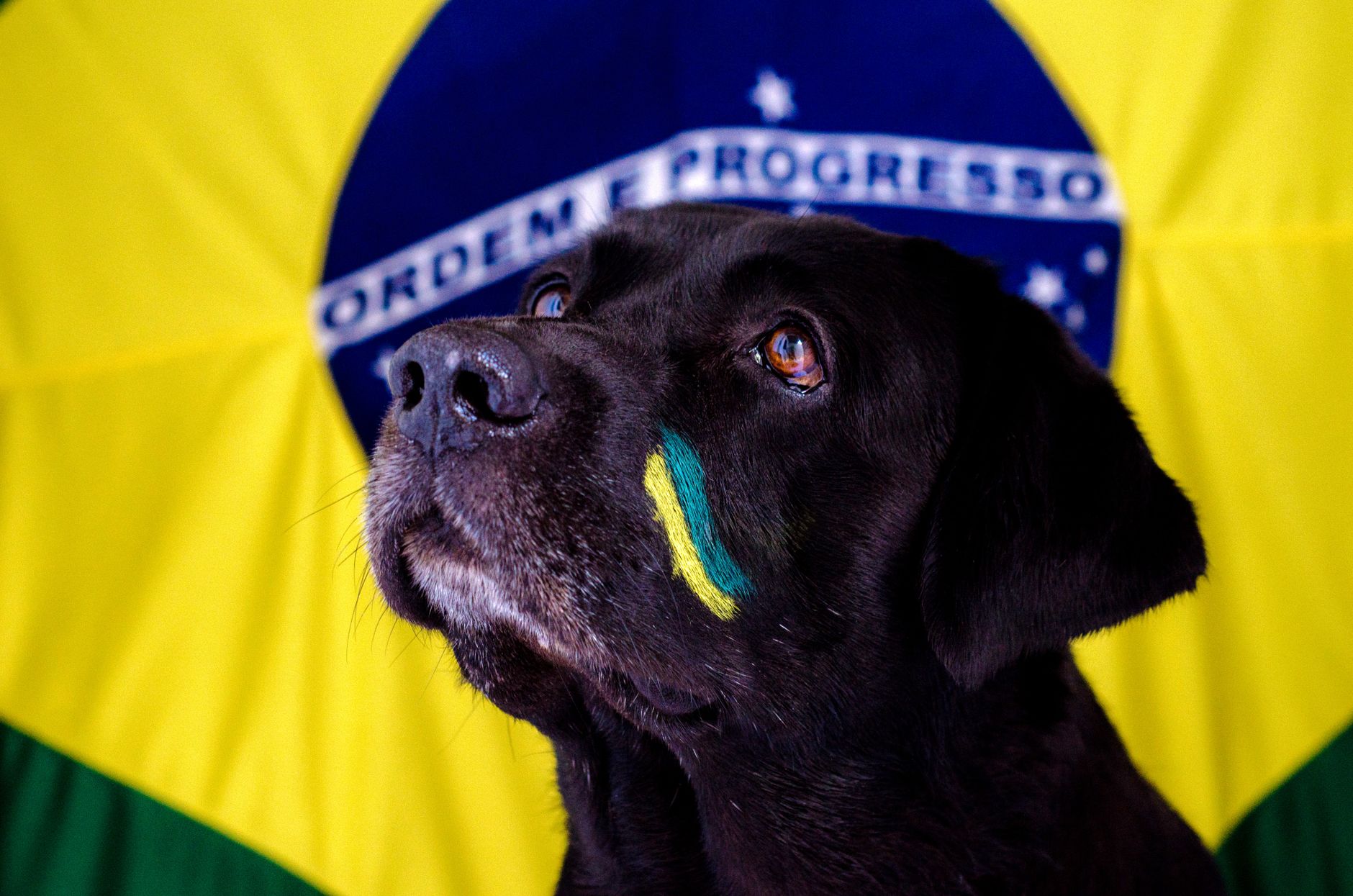 Brazil India friendly